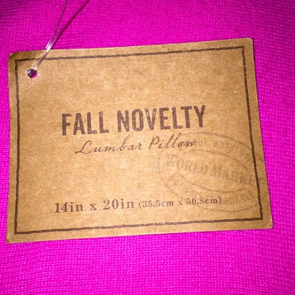 🆕 World Market Lumbar Pillows (Set of 2) - Picture 9 of 10